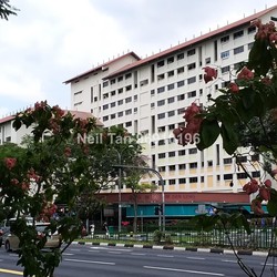 Blk 220 Petir Road (Bukit Panjang), HDB 3 Rooms #200371762